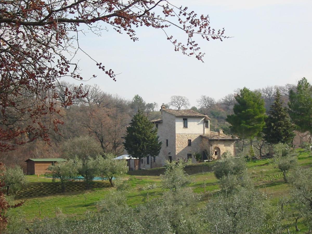Girasole - Agriturismo Fogliani Giano dellʼUmbria Eksteriør bilde